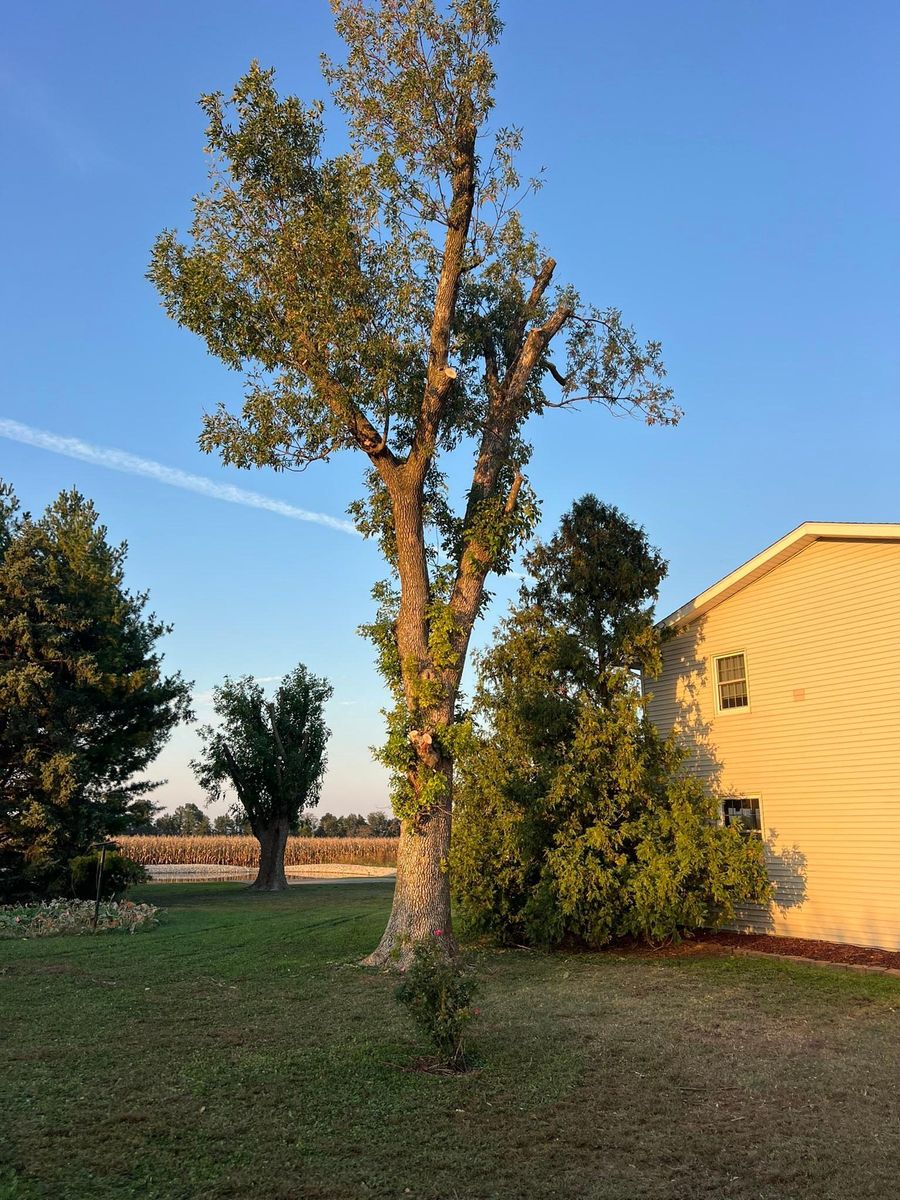 Property Clean Up for Baker Professional Services LLC in Shelbina, MO