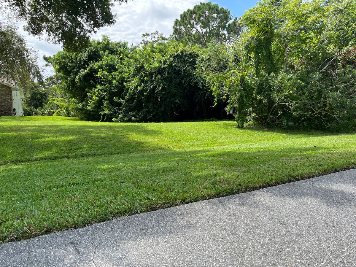 Lawn Maintenance for Space Coast Property Maintenance and Management LLC in Melbourne, FL