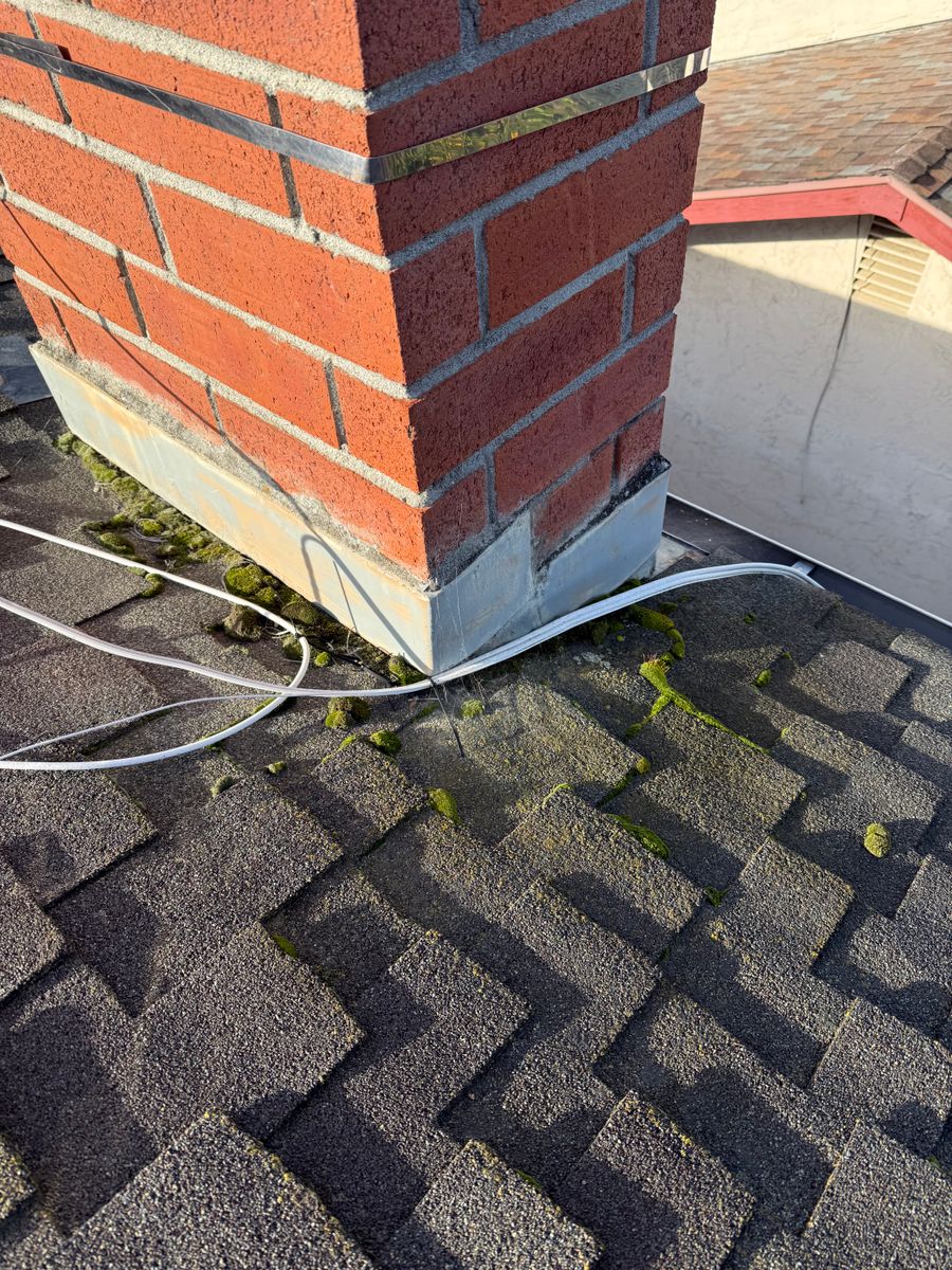 Moss Removal for GGG Home Services in San Jose, CA