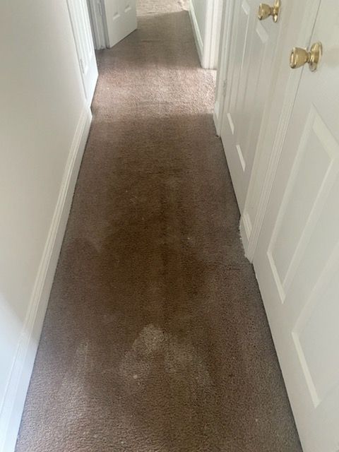 Carpet Cleaning for Brown’s Multi - Service in Macon, Gerogia