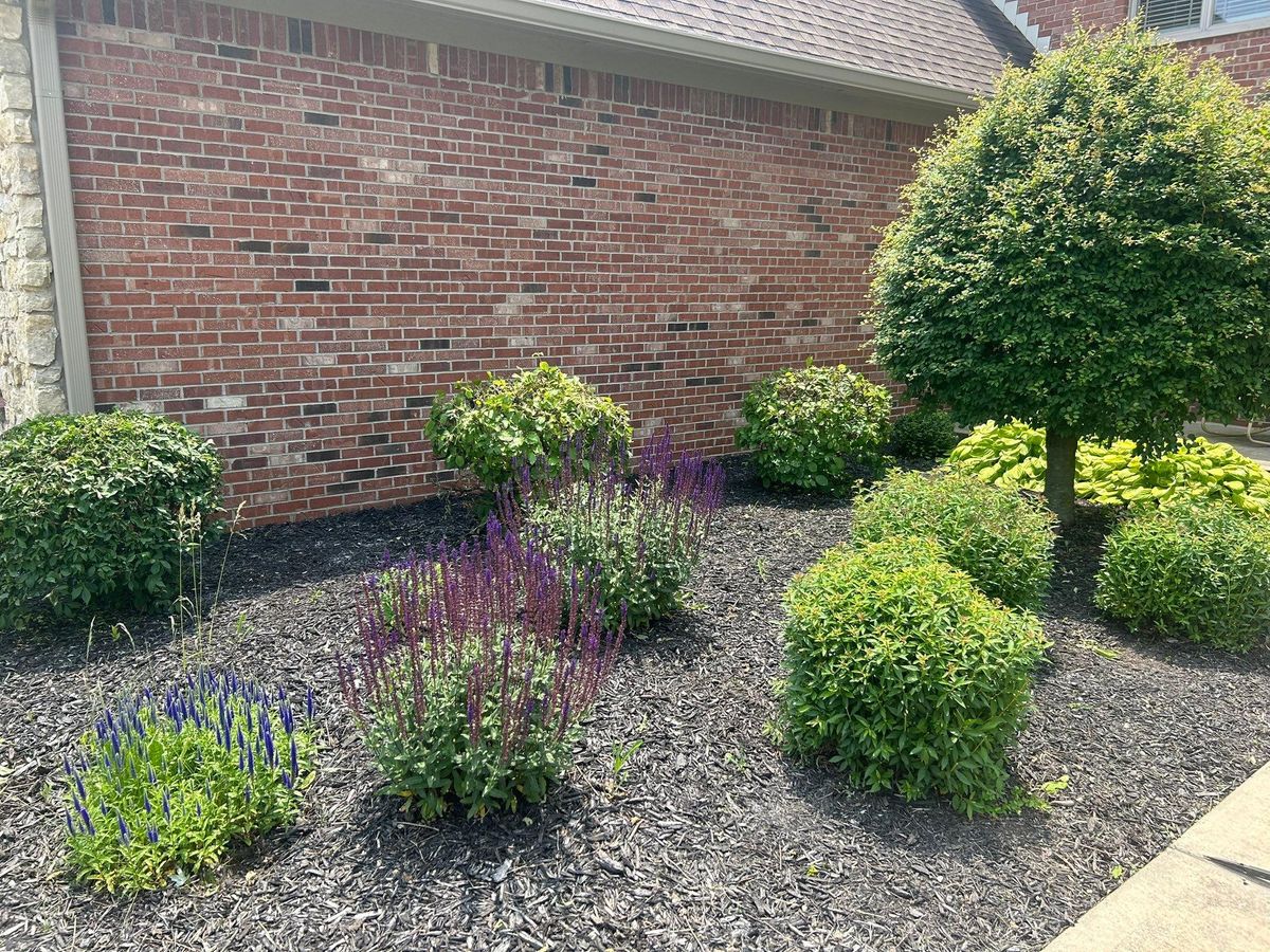 Landscaping for Bearforce Lawn Care LLC in Greenfield, IN