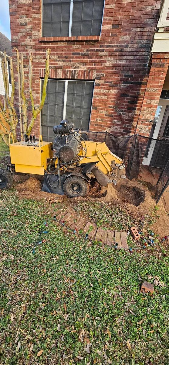 Tree Removal for Servin's Tree Care  in Houston, TX