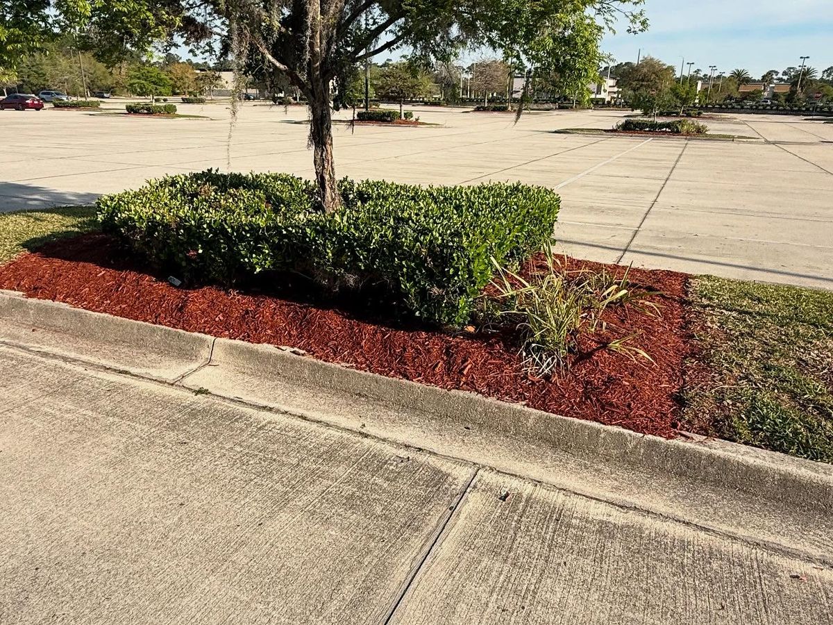 Mulch Installation for Whole 9 Yards Services in Green Cove Springs, FL