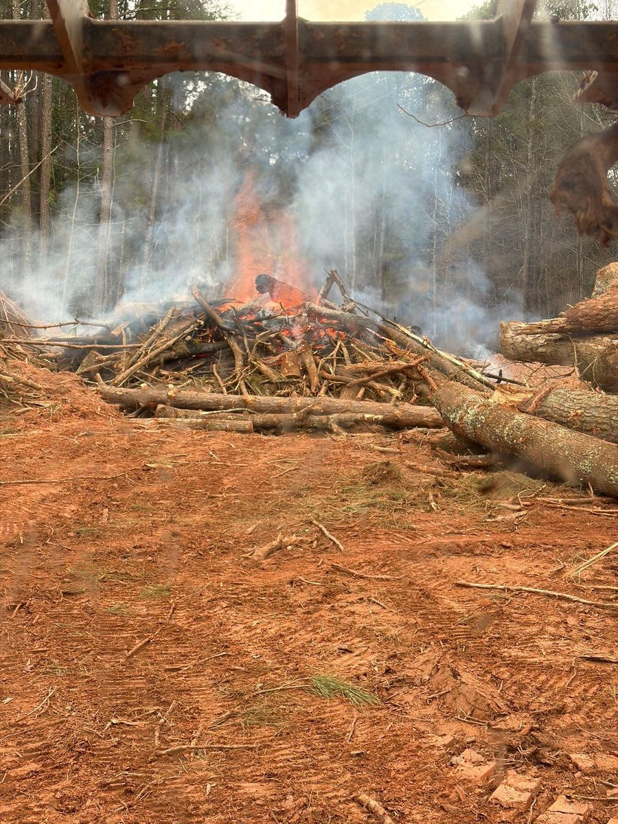 Forestry Mulching for Groundworx Construction in Bremen, GA