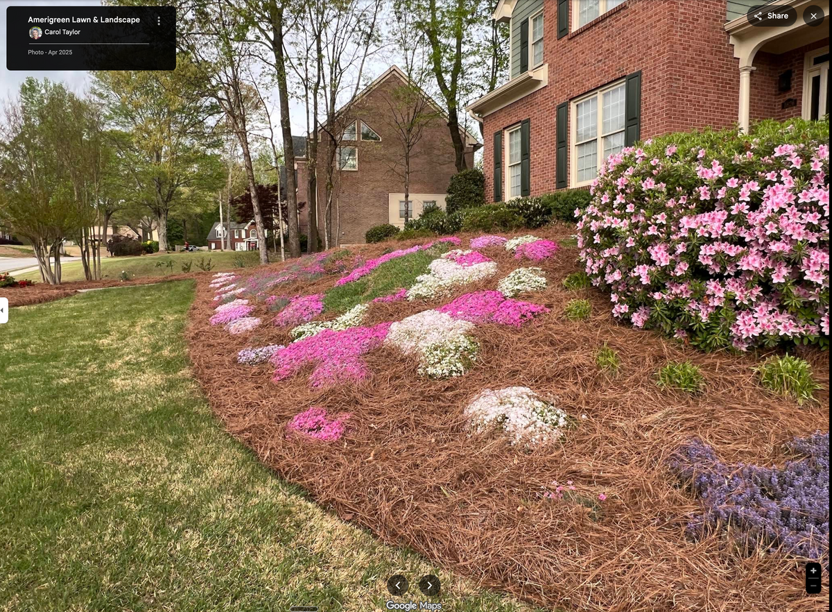 Landscape Design for Amerigreen Lawn & Landscape in Duluth, GA