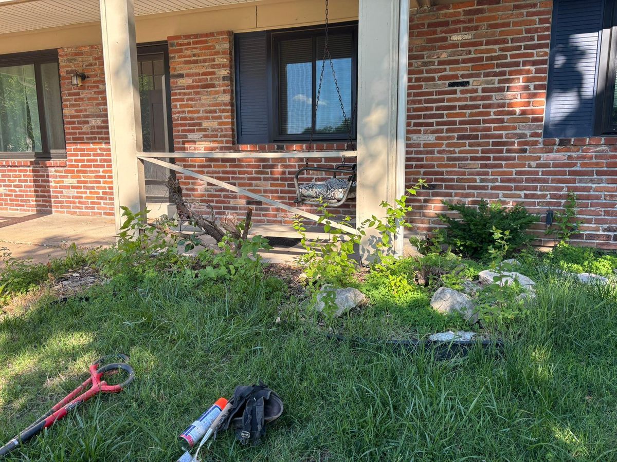  Brush and Shrub Removal  for Jackson Lawn Services LLC in St Louis, MO