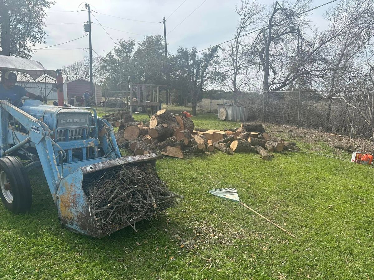 tree service- trimming and removals for CrossCut in Kempner, TX