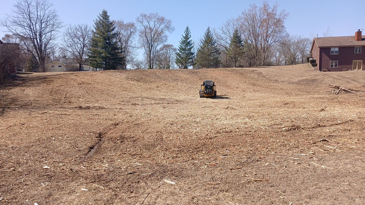 Land Clearing for Willing Trucking & Excavating in Evansville, WI
