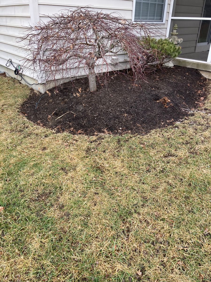Stump Removal for Village Tree Service  in Whitestown, IN