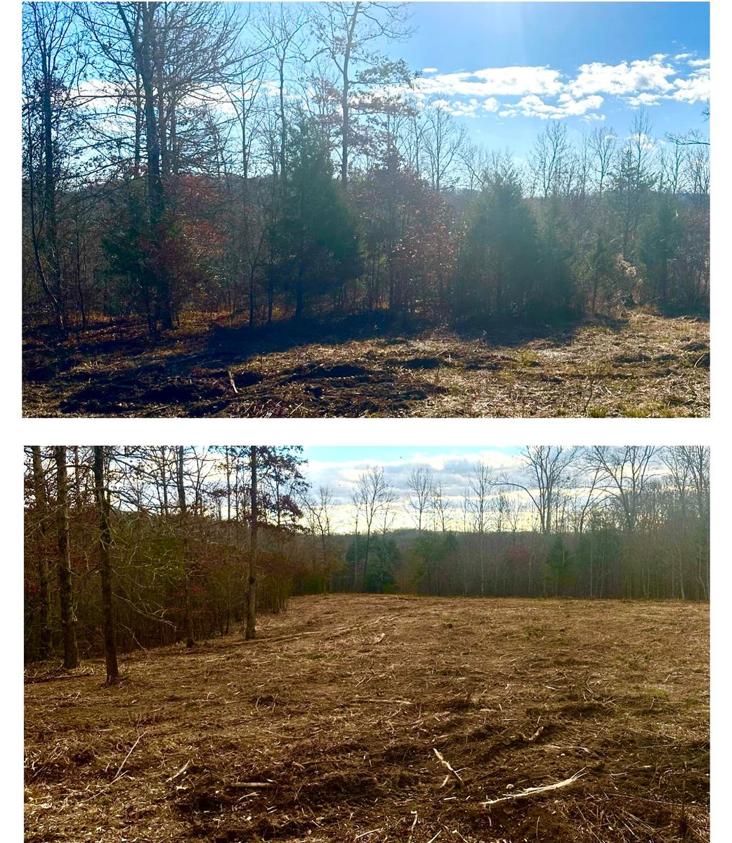 Mulching for Thickets Land Clearing & Excavation in Hohenwald, TN