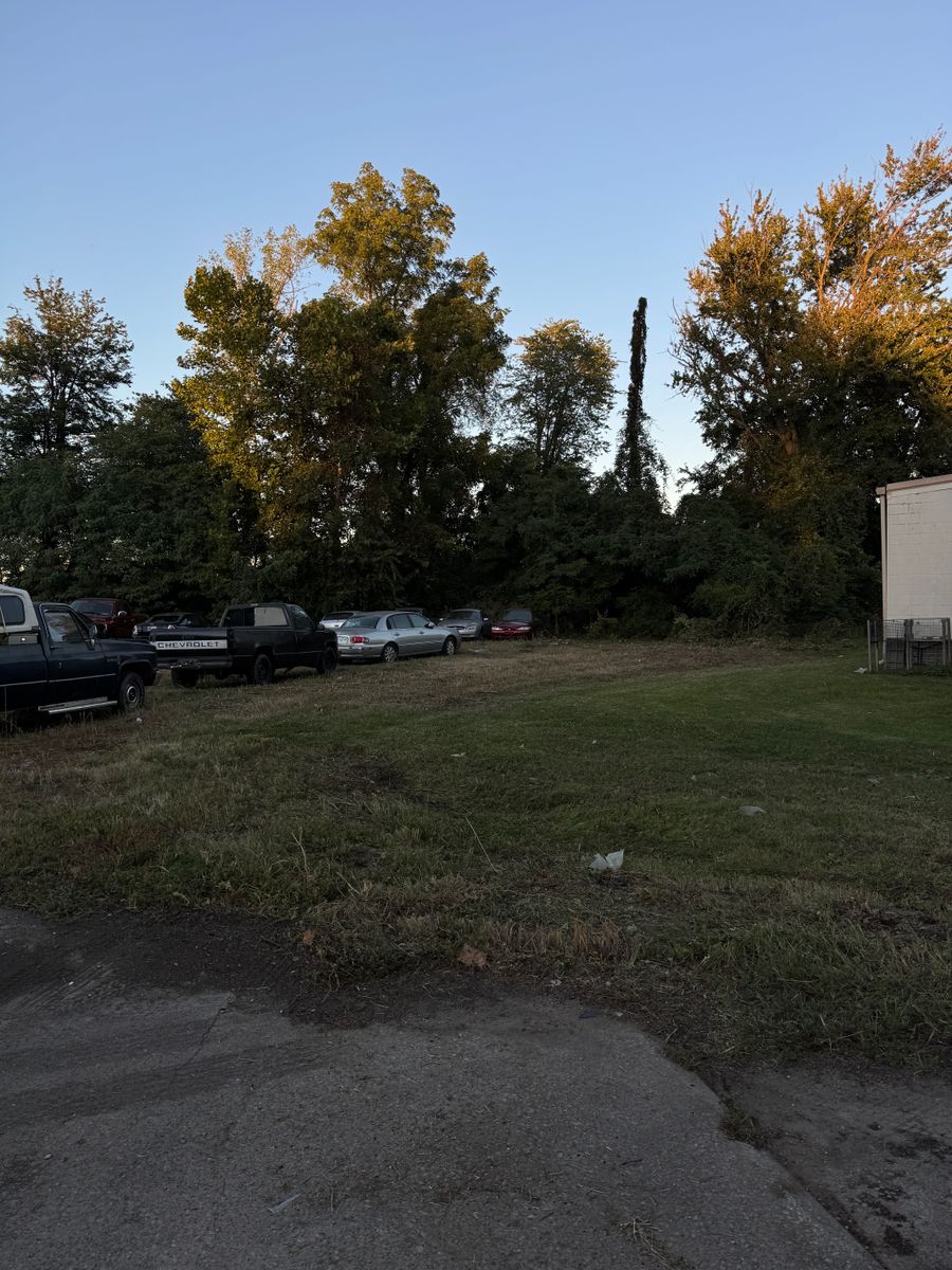 Brush Removal for Nicholson Lawn Care in Jeffersonville, IN