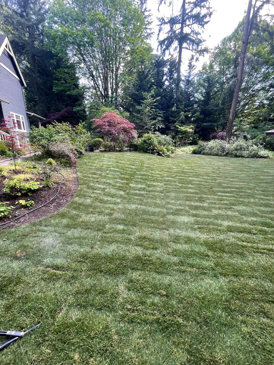 Property Maintenance for Stealth Landscaping in Black Diamond, WA
