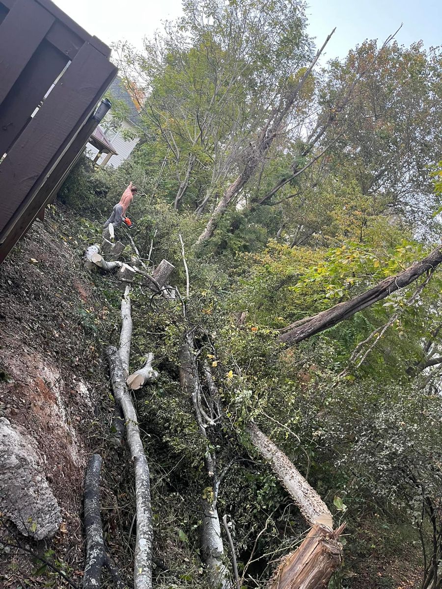 Storm Services for DW’s Tree Service in Winston-Salem, NC