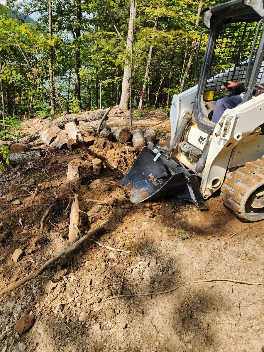 Stump grinding or removal for Williams Lawn & Land in Sharps Chapel, TN