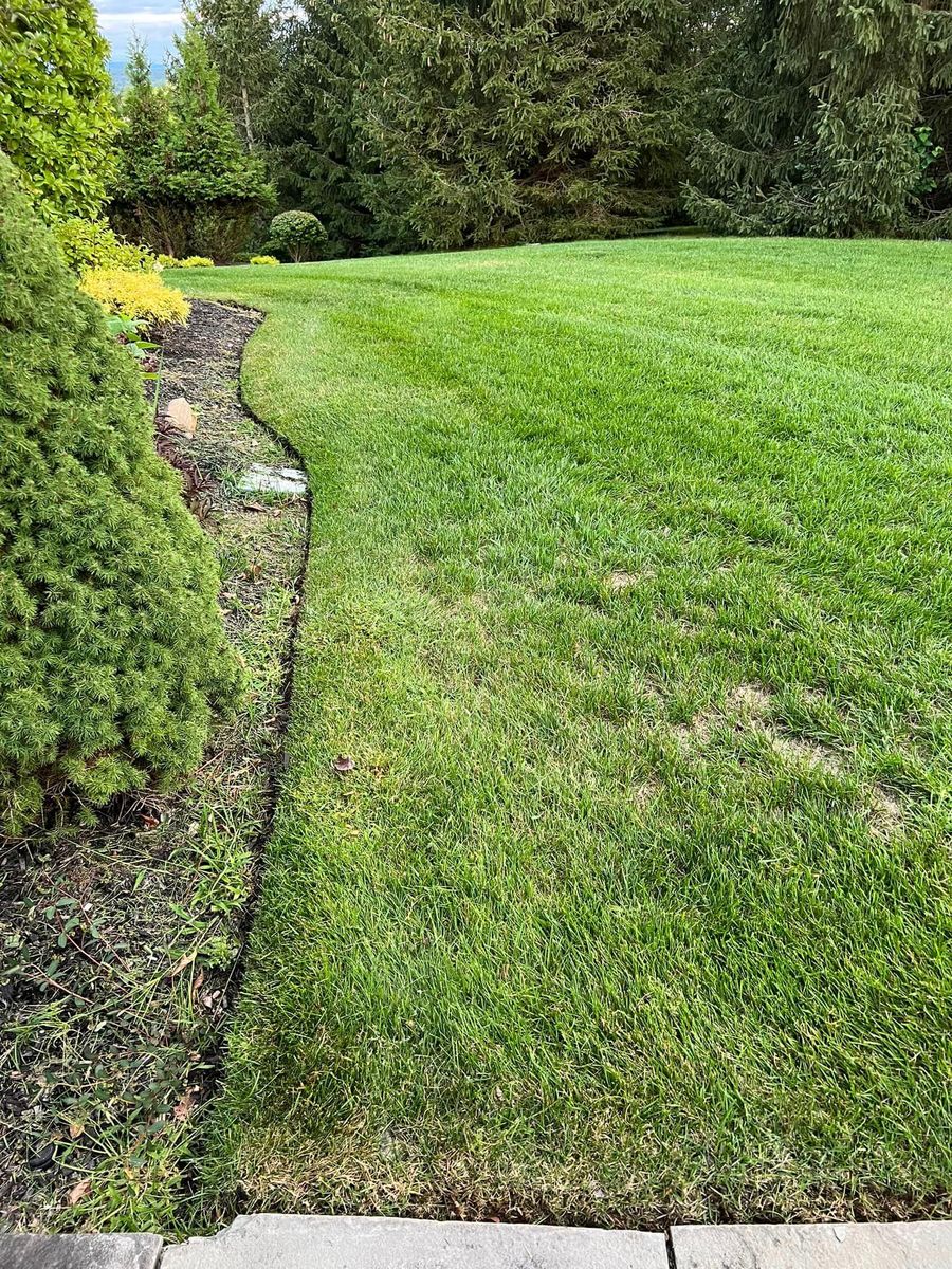 Other Lawn Services for Bumblebee Lawn Care LLC in Albany, New York