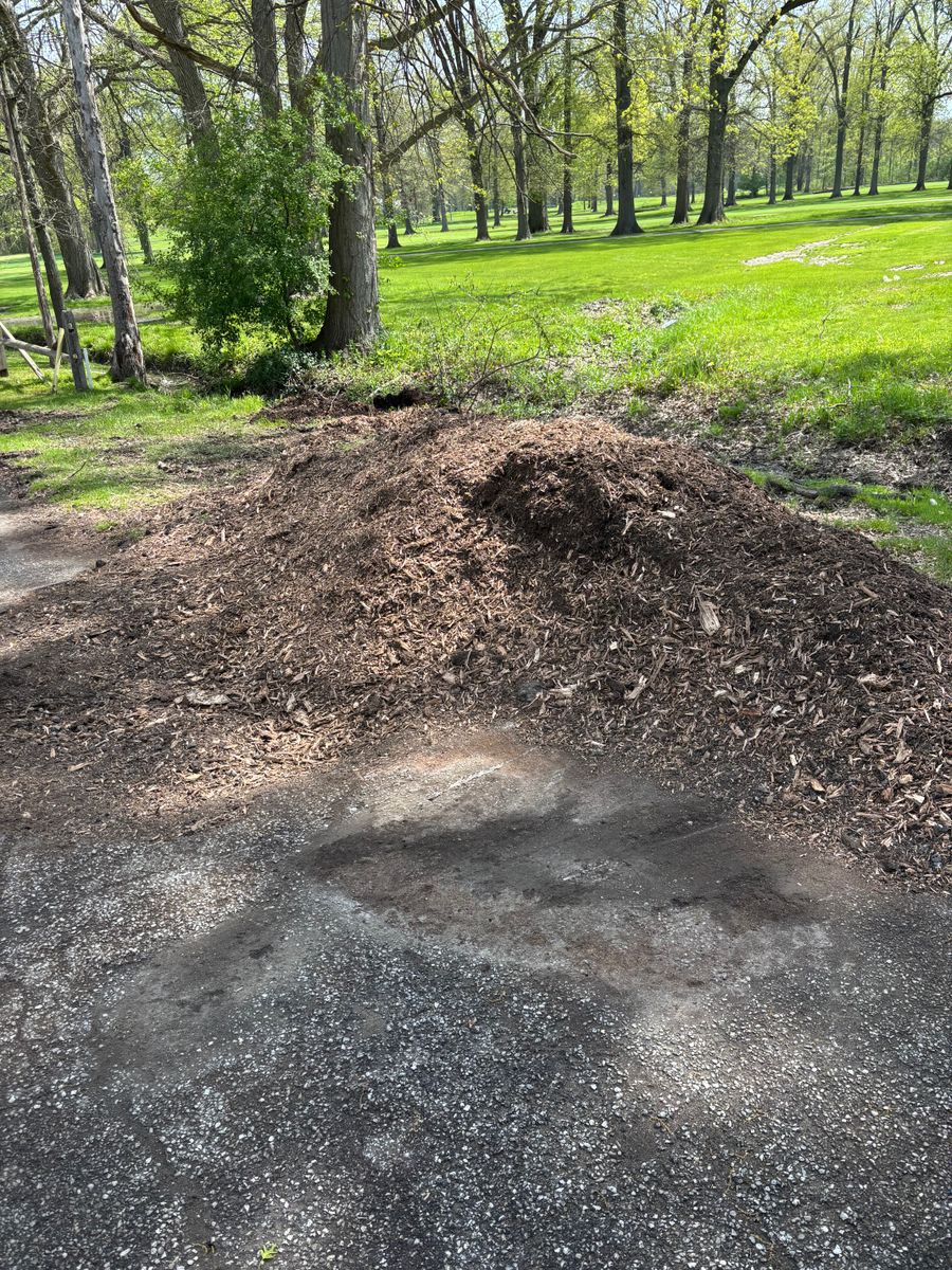 Stump Removal for Dean's Stump Removal in Youngstown, OH