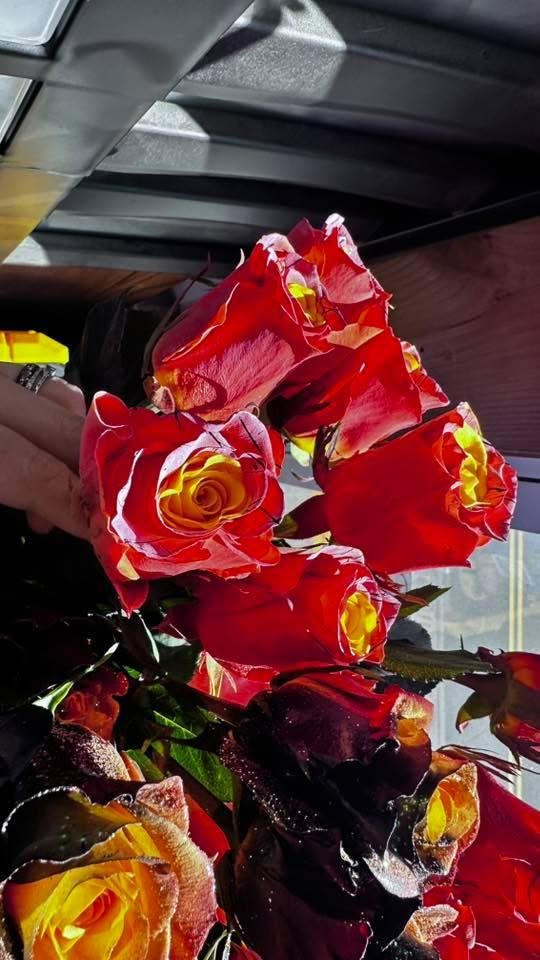 Medium Hand-tied Bouquet for The Dailey Daisy in Hardwick, VT