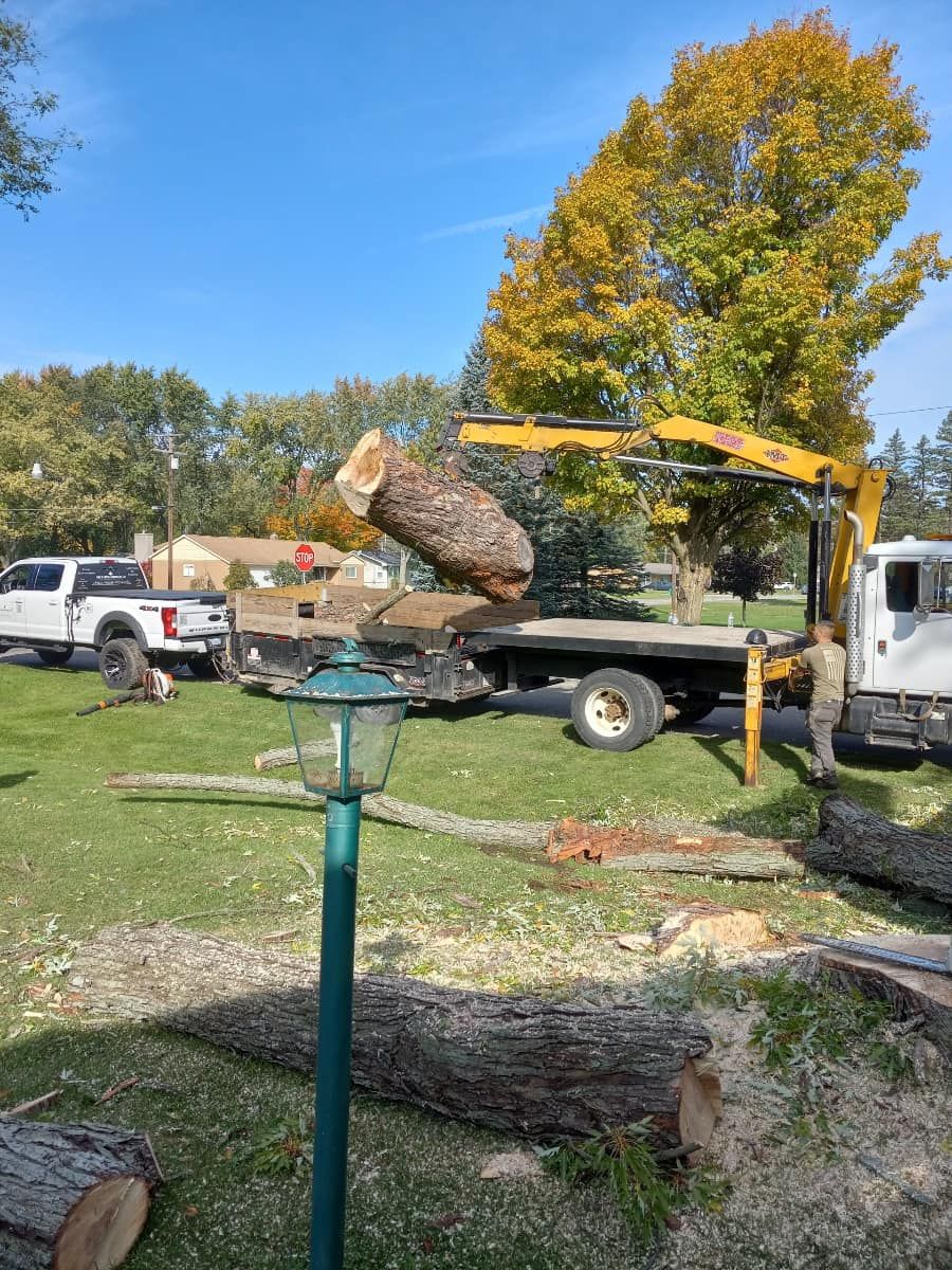 Emergency Tree Removals for The Bucking Arborists in Flint, MI