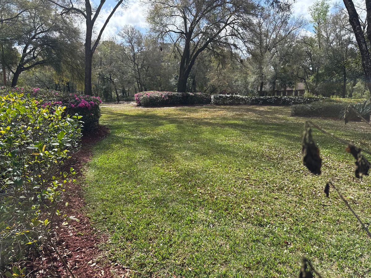 Mowing for Amerigrown Tree And Lawn in Apopka, FL