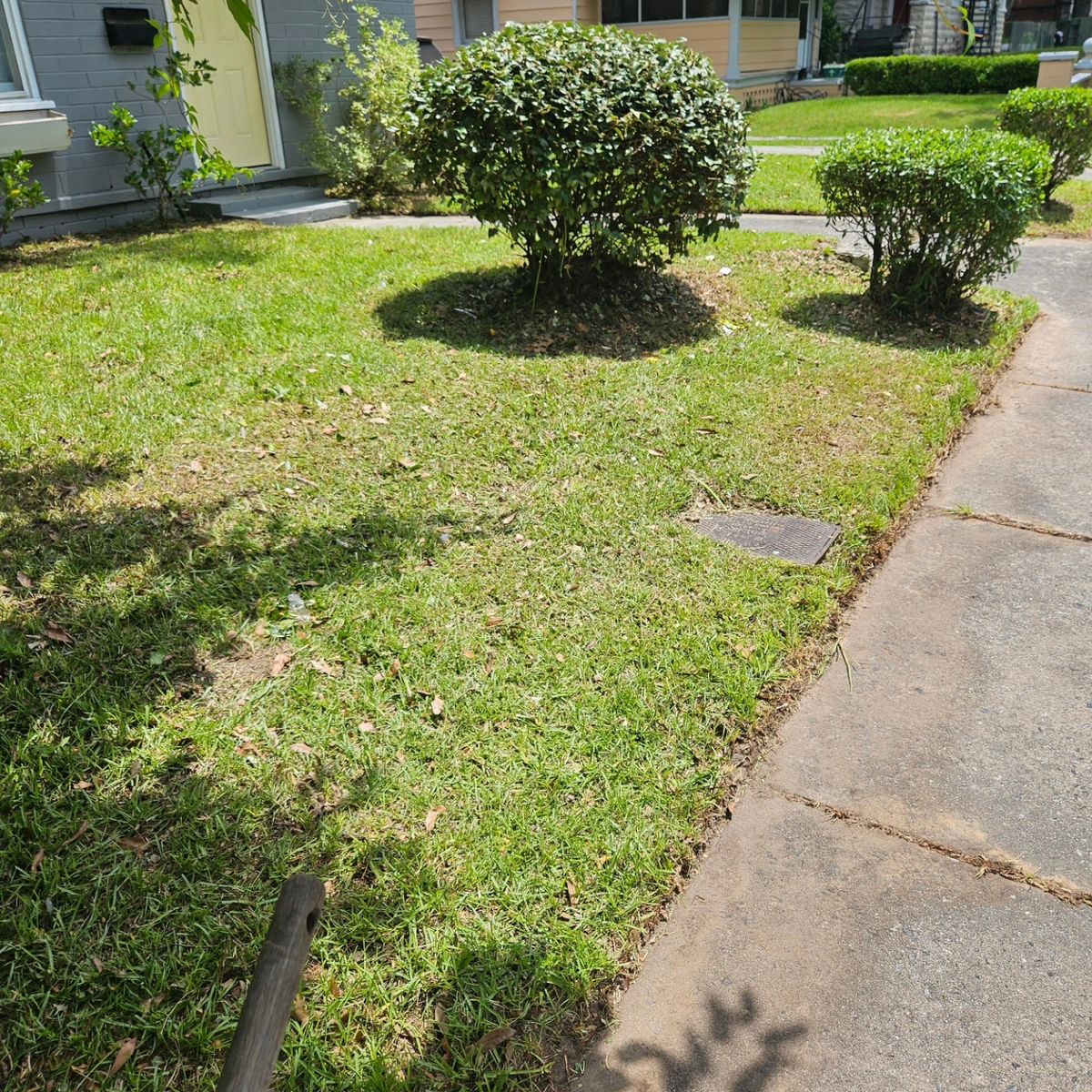 Shrub Trimming for Ready Set Go Lawncare Services in Savannah, GA