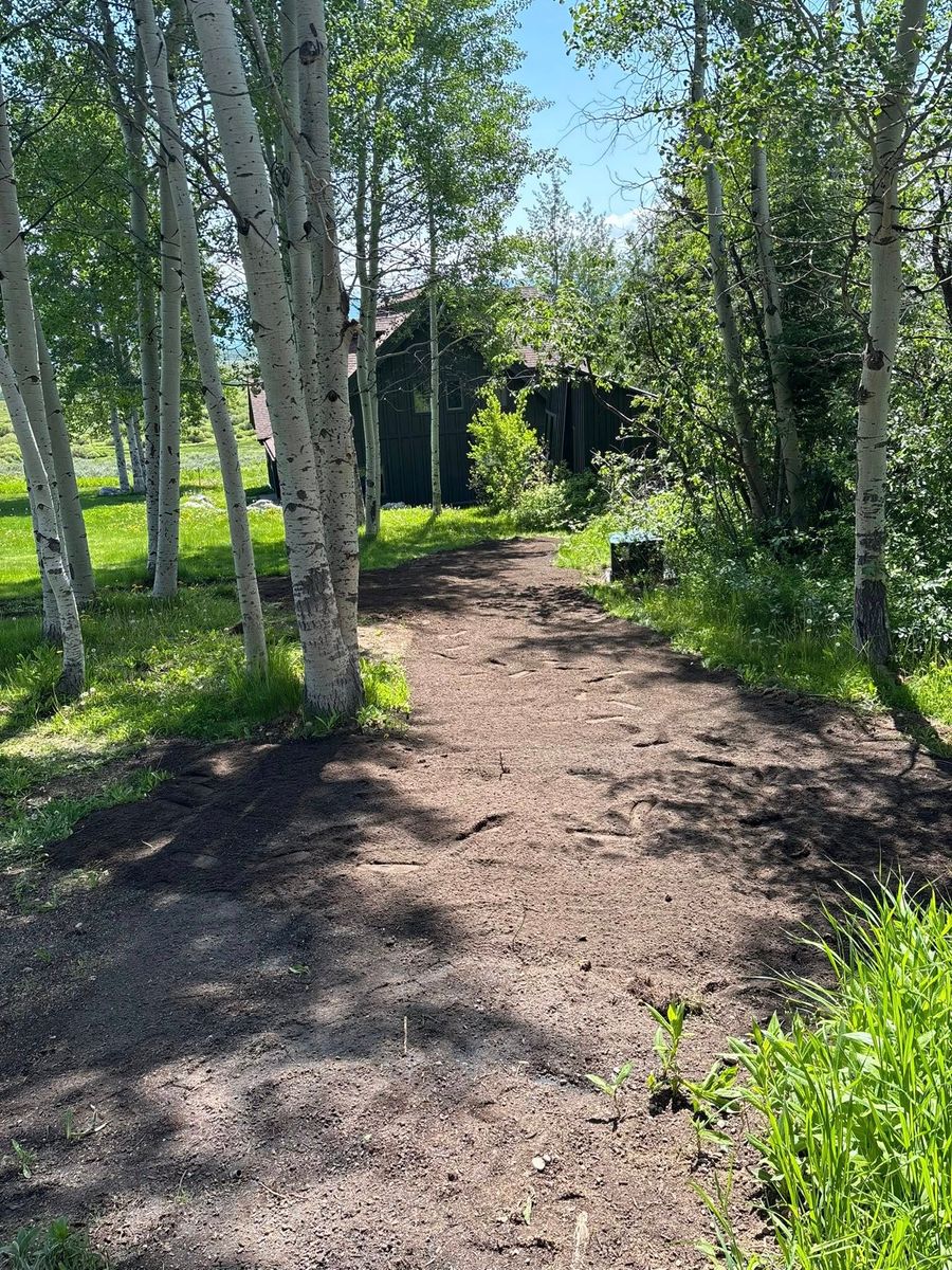 Site Preparation for Kilroy Construction in Afton, WY