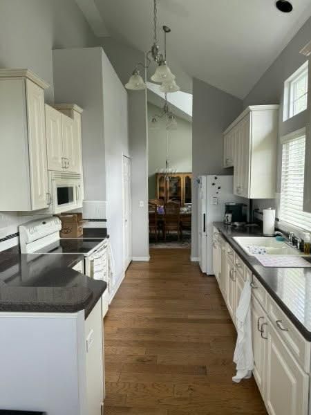 Cabinet Painting for TL Painting in Joliet, IL