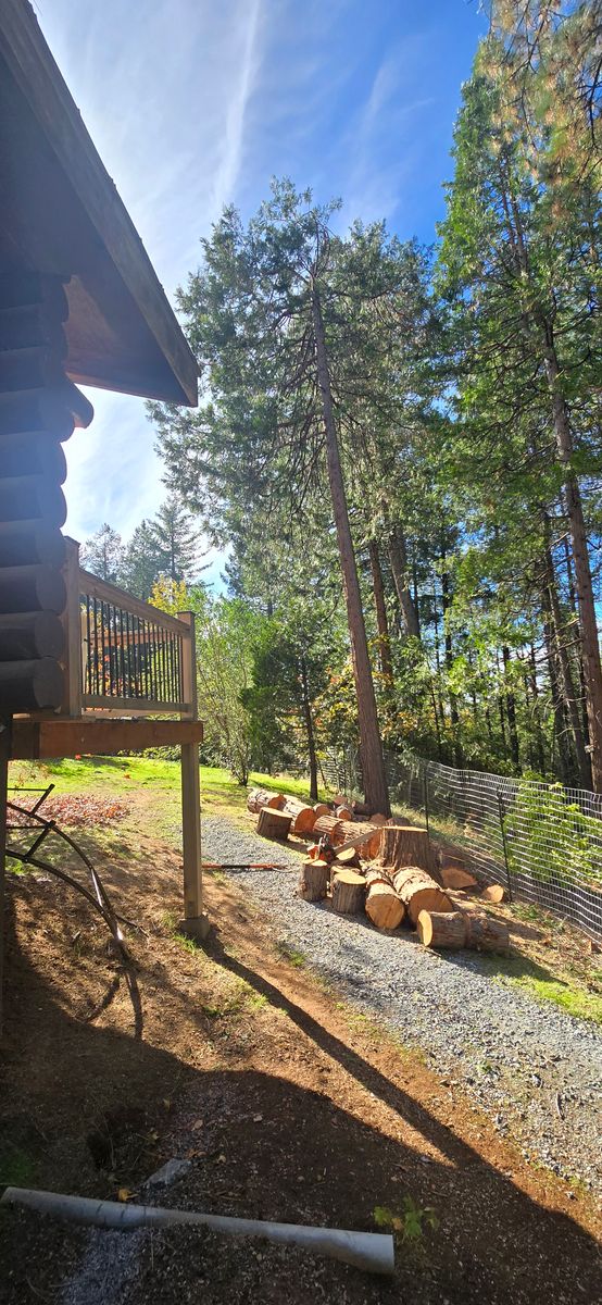 Storm Damage for George Staddan's Professional Tree Care in Placerville, CA