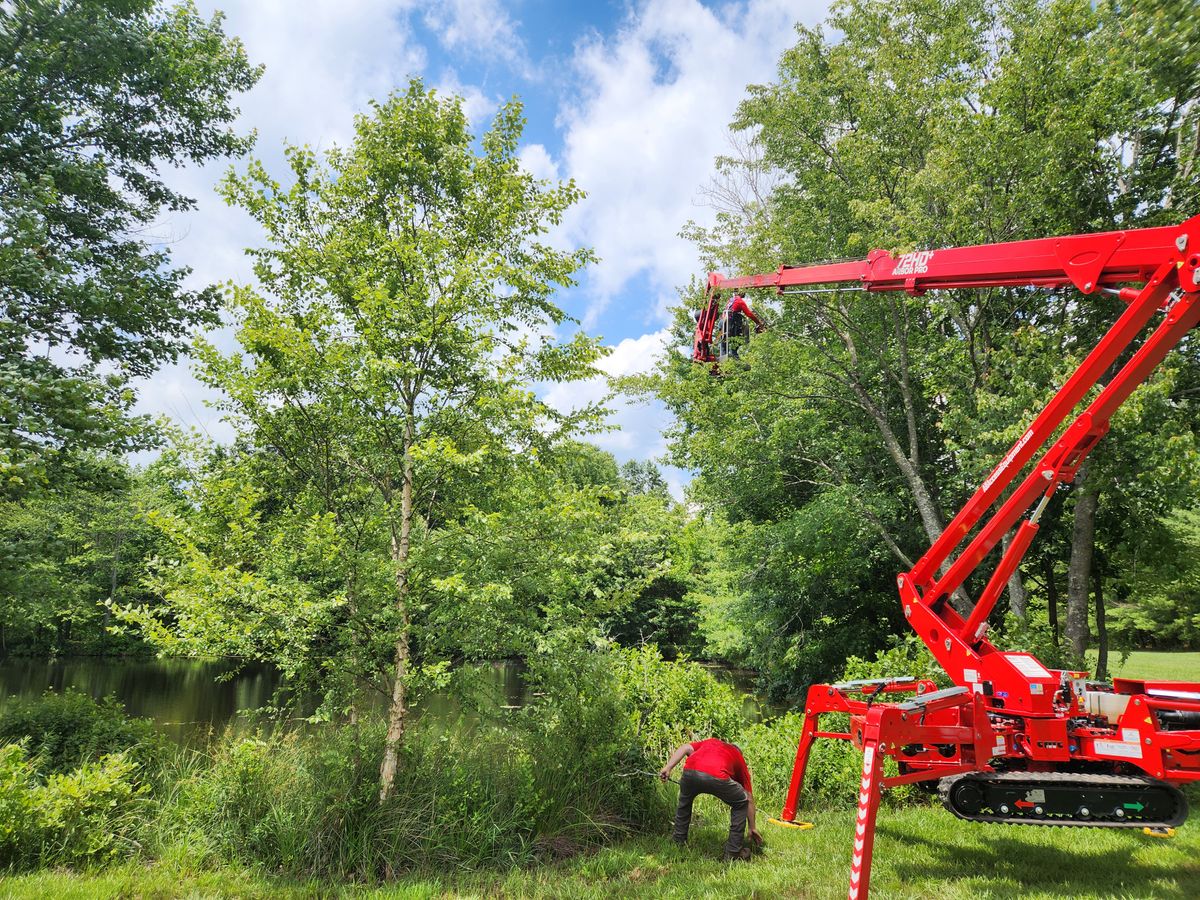 Tree Trimming for Smith Tree Experts in Palmyra, VA