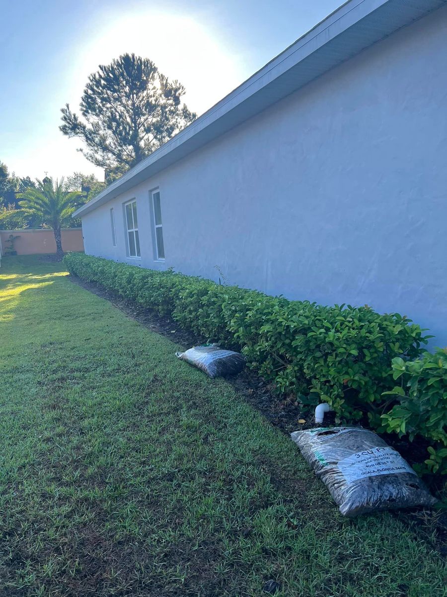 Hedge Trimming/Removal for Thurmond & Sons Landscaping  in Montverde, FL