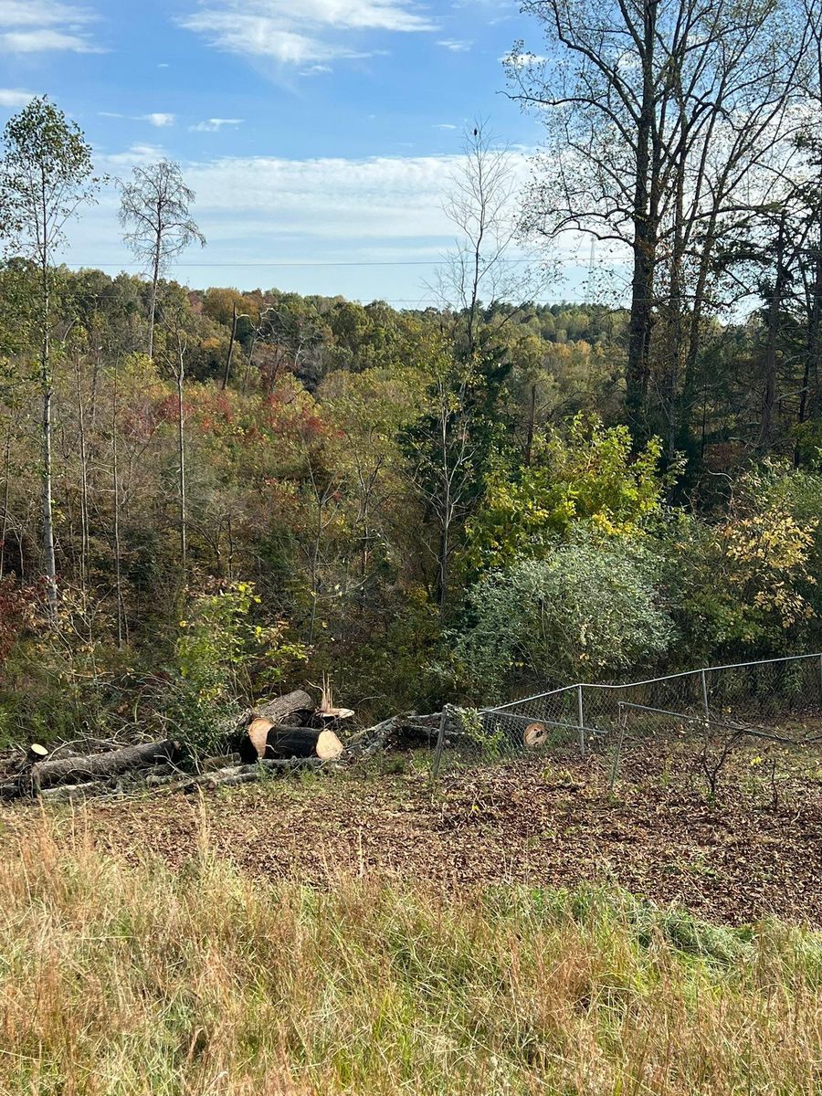 Fall Clean Up for Brooks Tree Service, LLC in Casar, NC