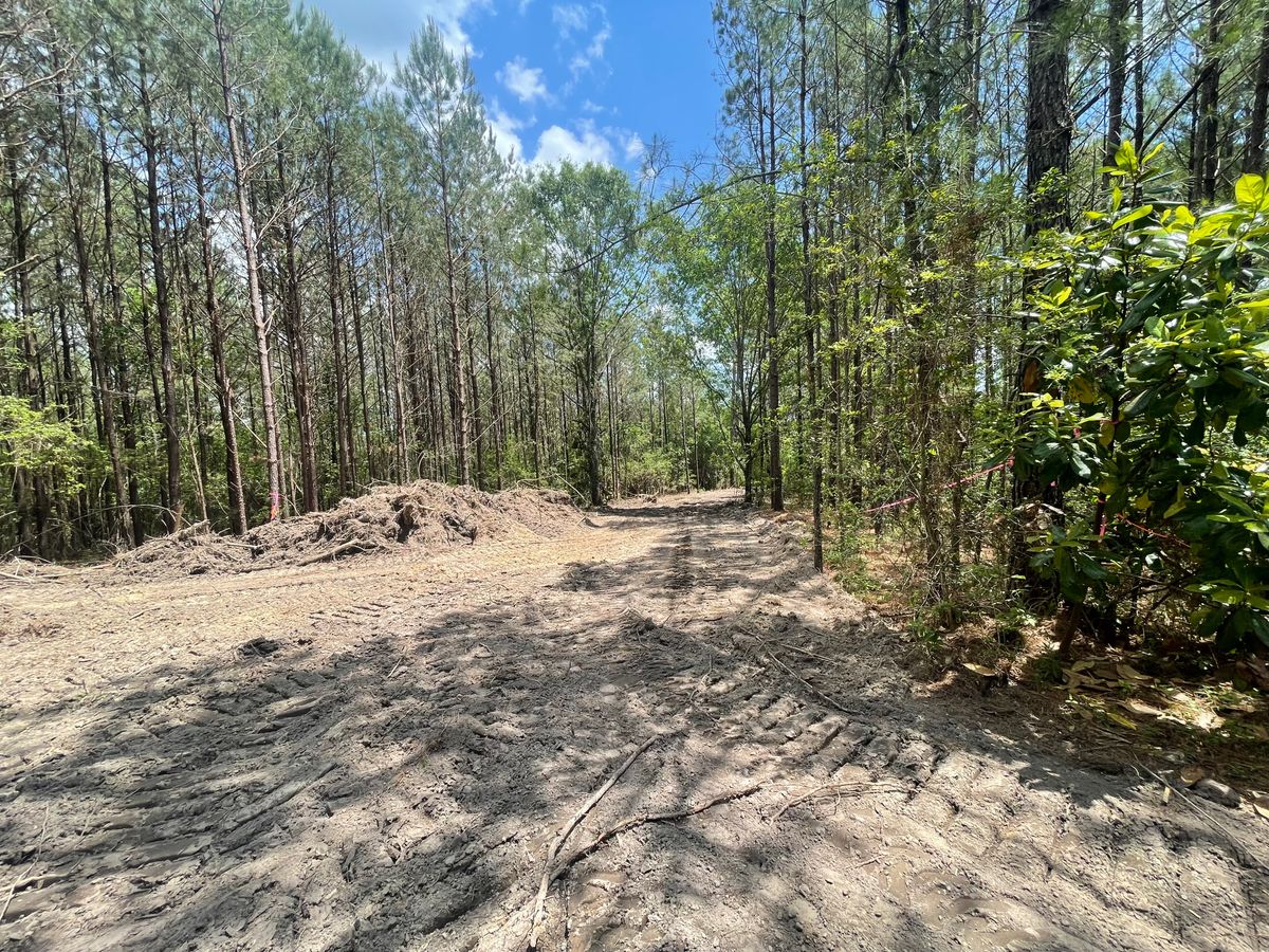 Land Clearing & Demolition for Platinum Construction llc in Pearl River, MS