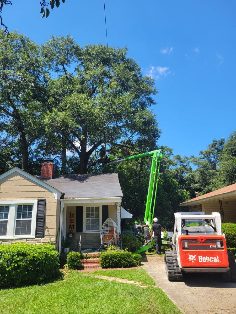 Tree Removal for Trees Unlimited of the CSRA in Augusta, GA