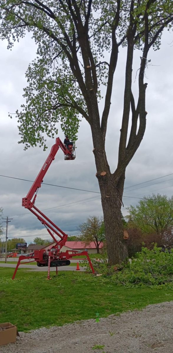 Tree Trimming for Lawn Ranger Yard And Tree Service LLC in Ottumwa, IA