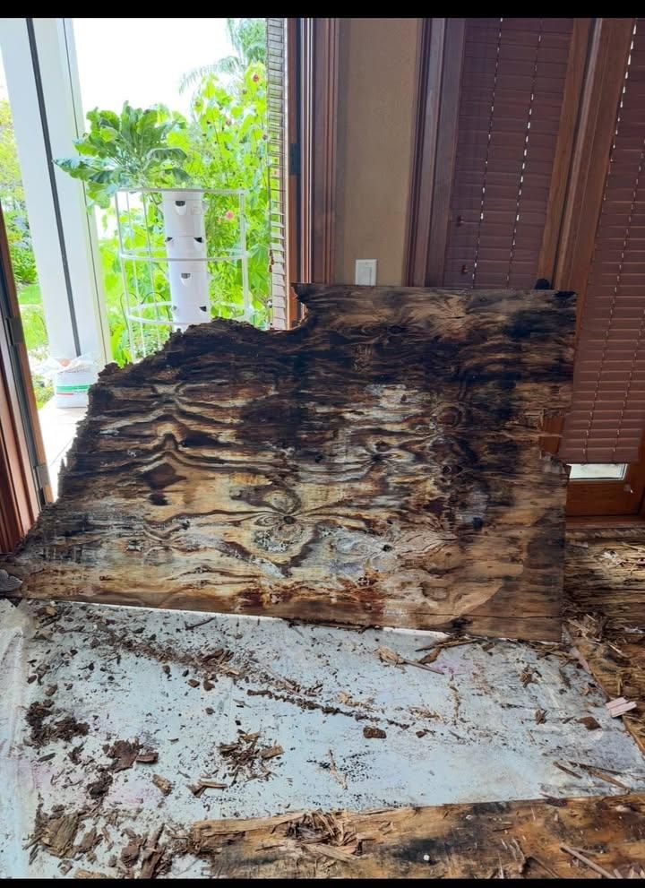 Carpentry for DH Construction Remodel in Orlando, FL