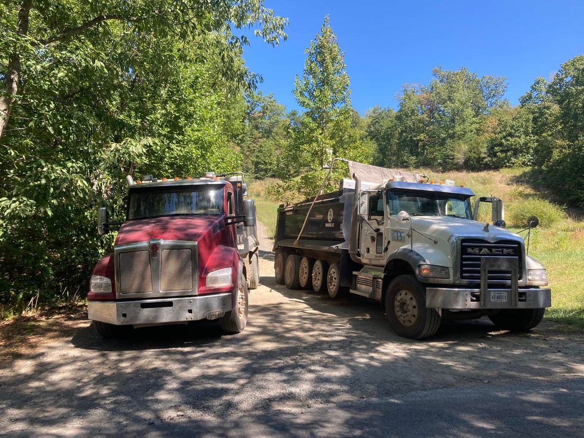 Tree Removal for 9999 Building and Renovation LLC in Warrenton, VA