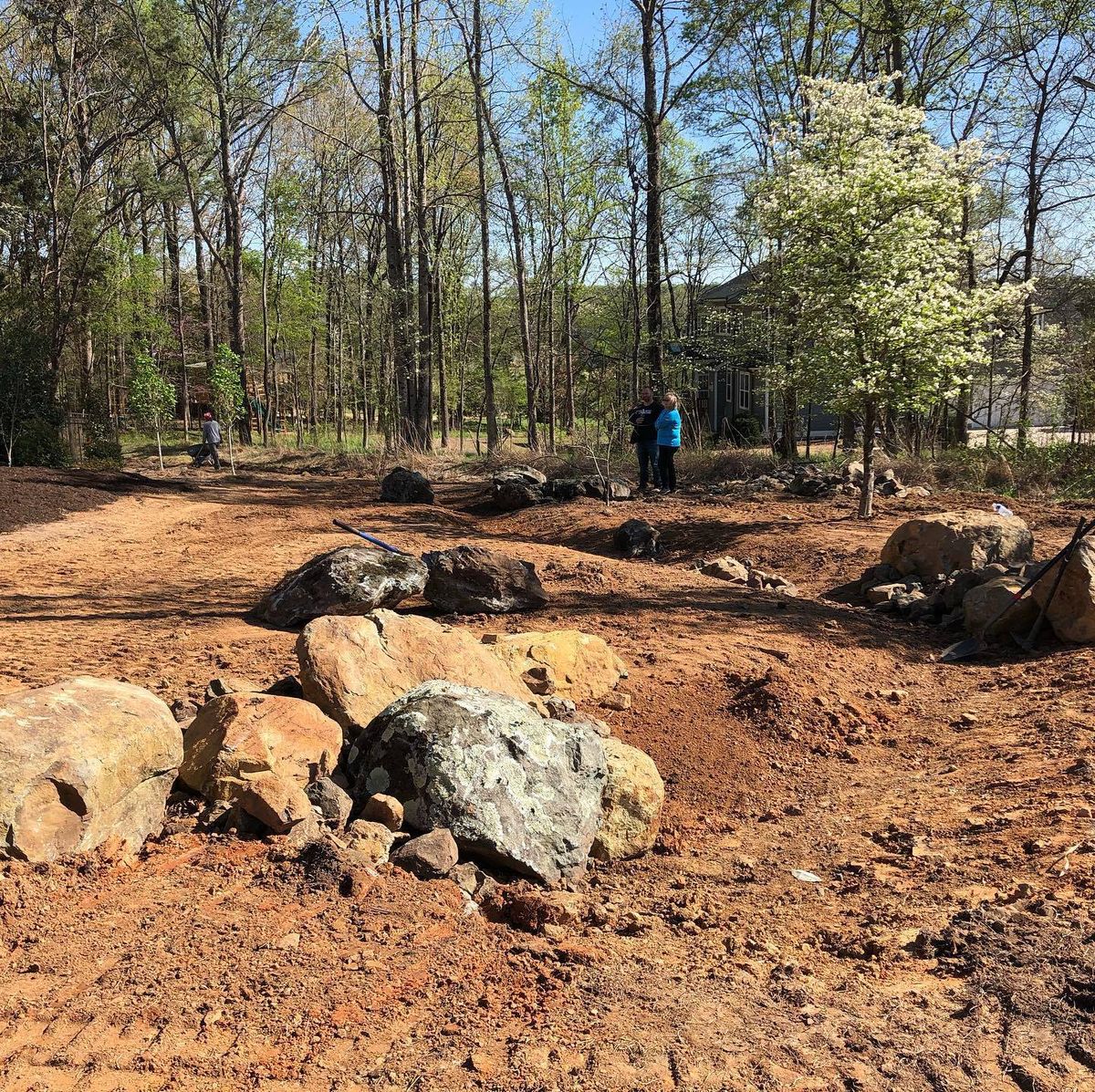 Habitat Restoration / Native Planting for Christina King Landscape Design in West Raleigh, NC