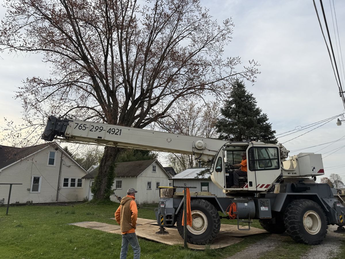 Tree Removal for Advanced Tree Solutions in Rockville, IN
