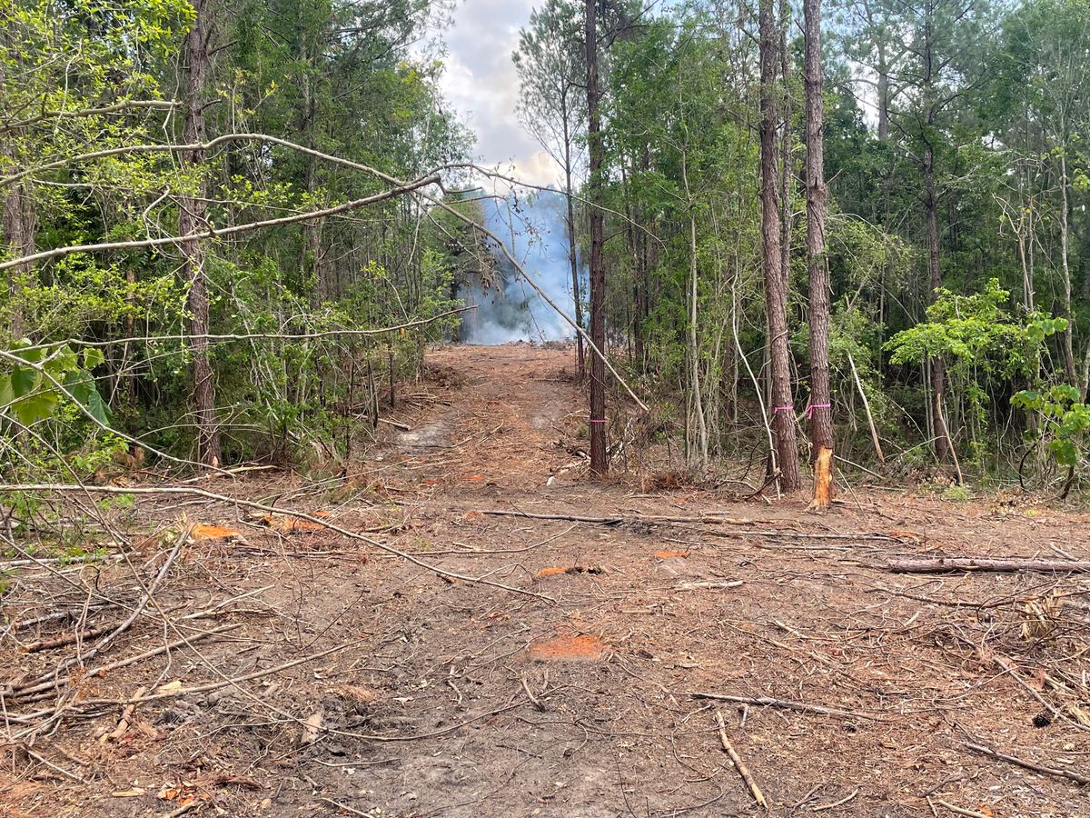 Land Clearing & Demolition for Platinum Construction llc in Pearl River, MS