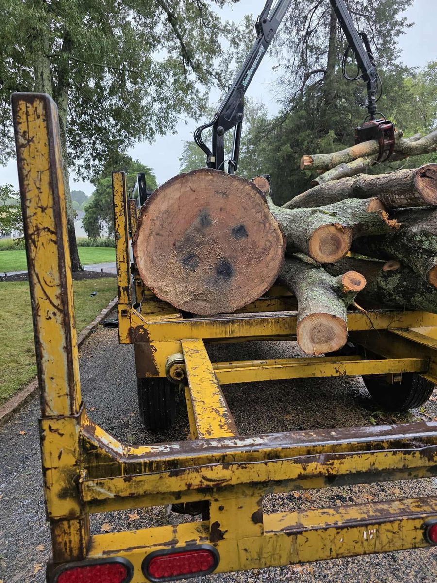 Tree Removal for Smith Tree Experts in Palmyra, VA