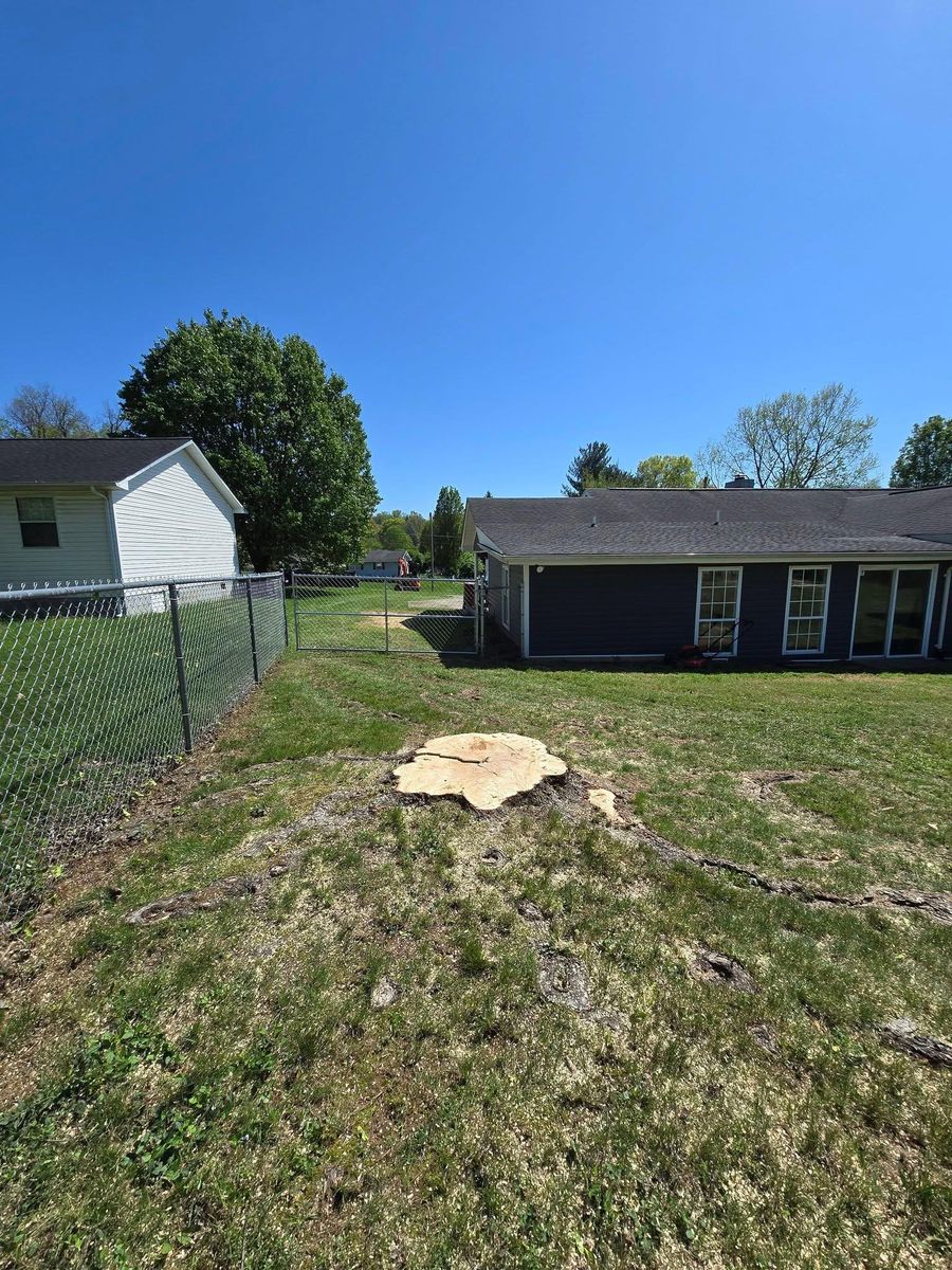 Property clean up for M&L Lumber and Excavating in Jonesborough, TN