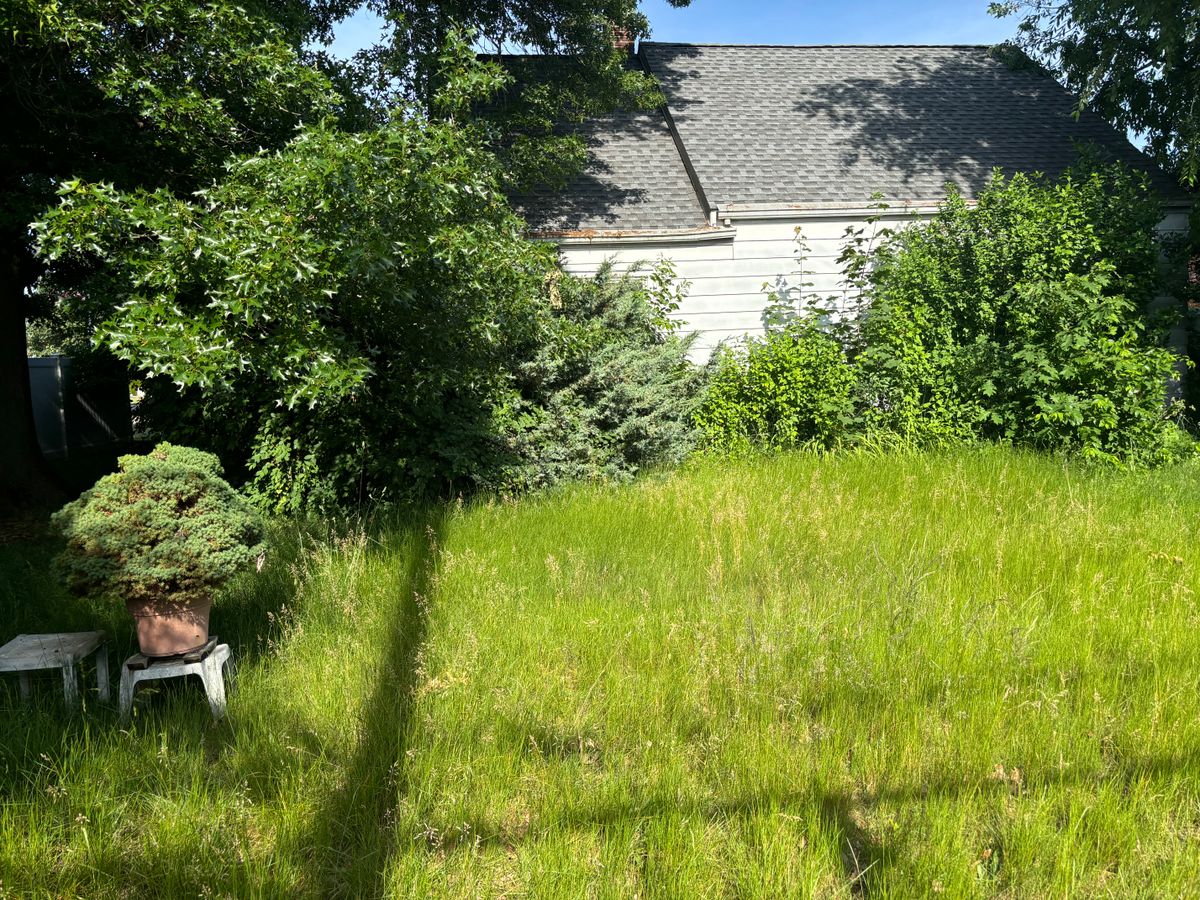 Overgrown Property Clean Up for Strong Island Property Services in West Hempstead, NY