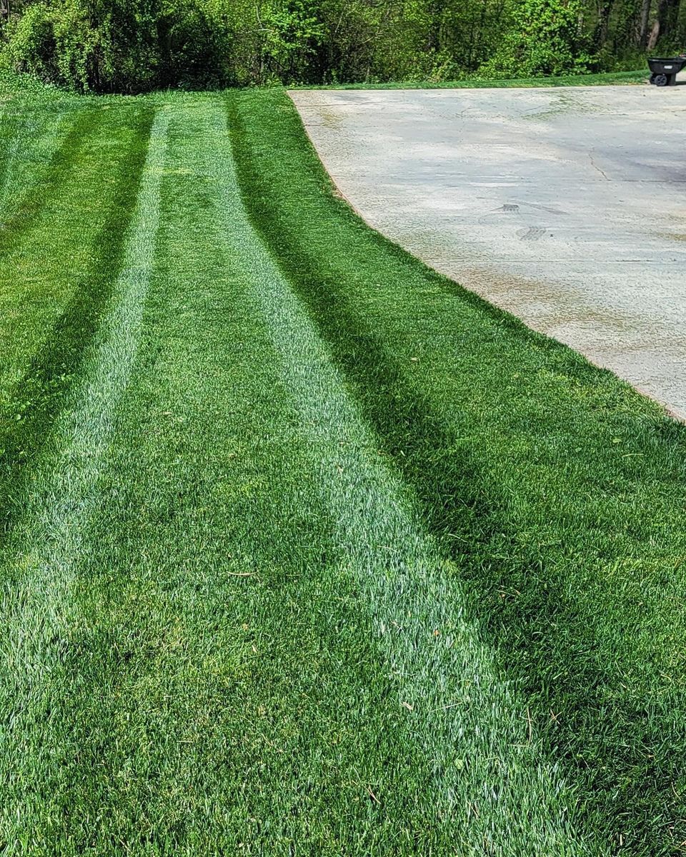 Aeration for Piedmont Lawn and Landscaping in Lexington, NC