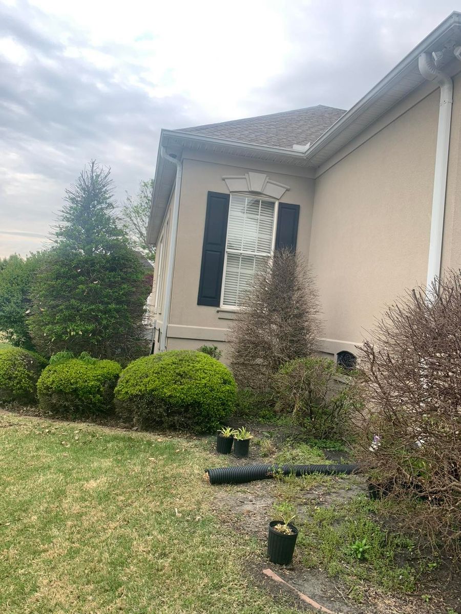 Shrub Trimming for Greenscape Solutions in Milan, TN