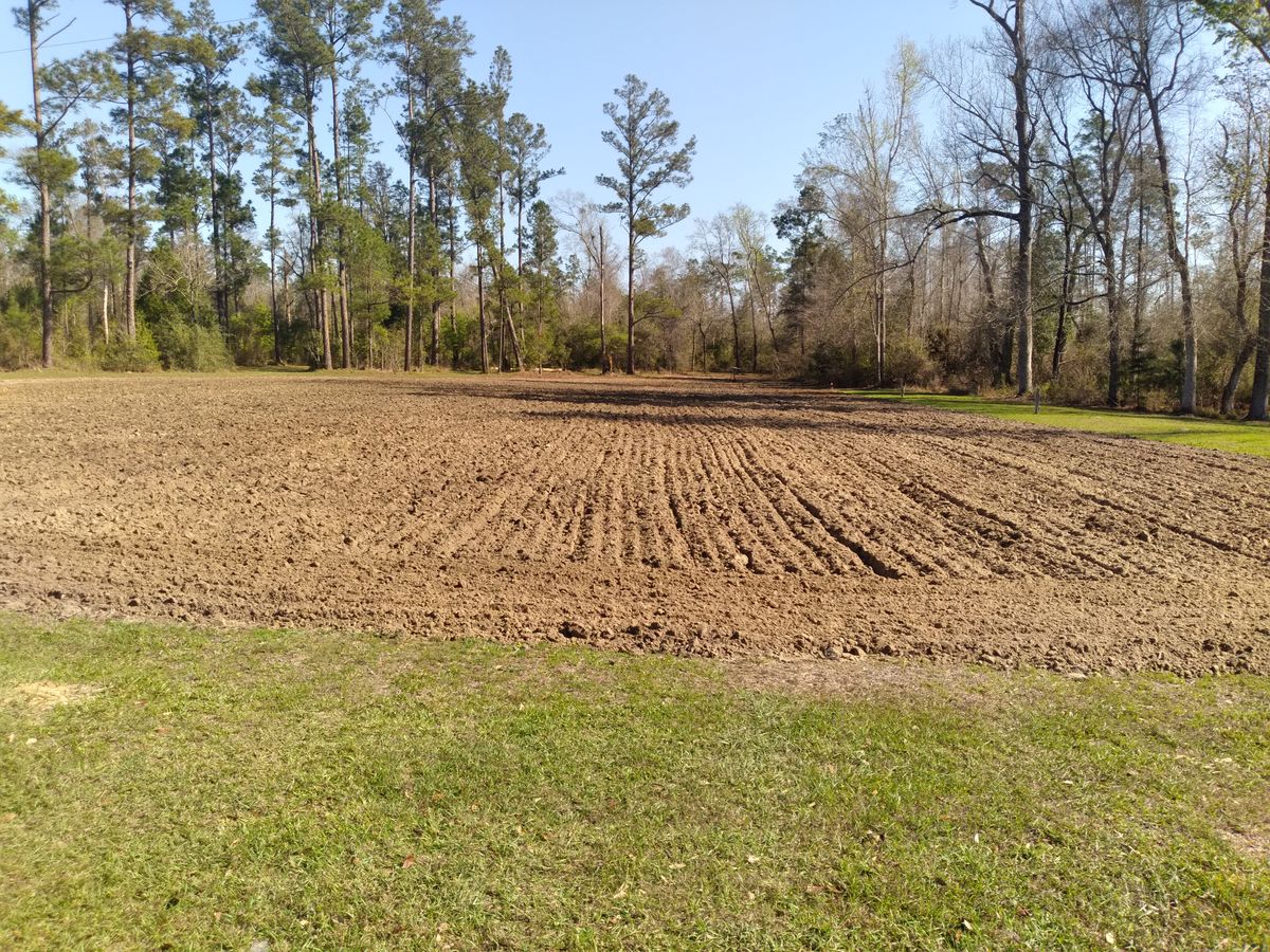 Tractor Service's ! Grapple work ; minor land clearing tree service ; chainsaw work ; gardens / food plots discing ETC for Landrum’s Lawn & Tractor Services in Blountstown, FL