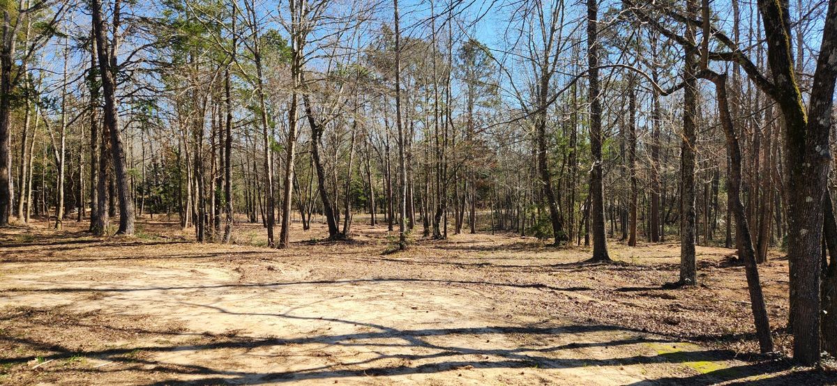 Land Clearing for 903 Mulching in East Mountain, TX