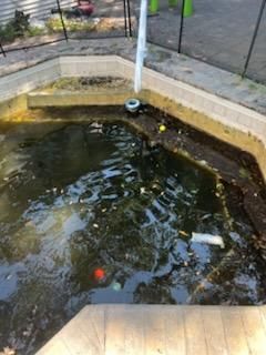 Acid washing for Blue Bay Pools in Tampa, FL