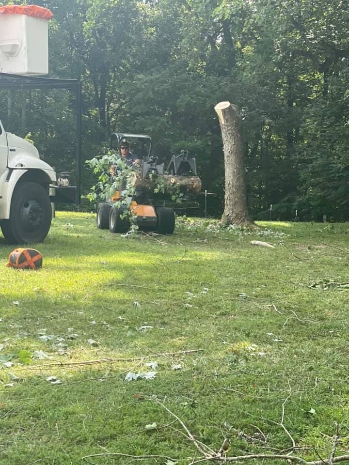 Tree Pruning for JayBird Tree Service  in Goodlettsville, TN