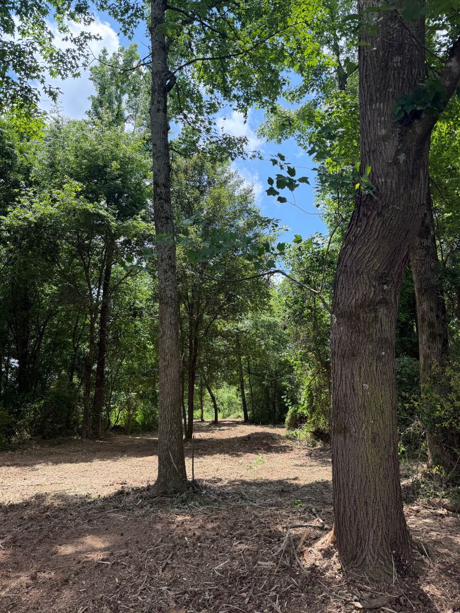Land Clearing for Collins Constructors in Fyffe, AL