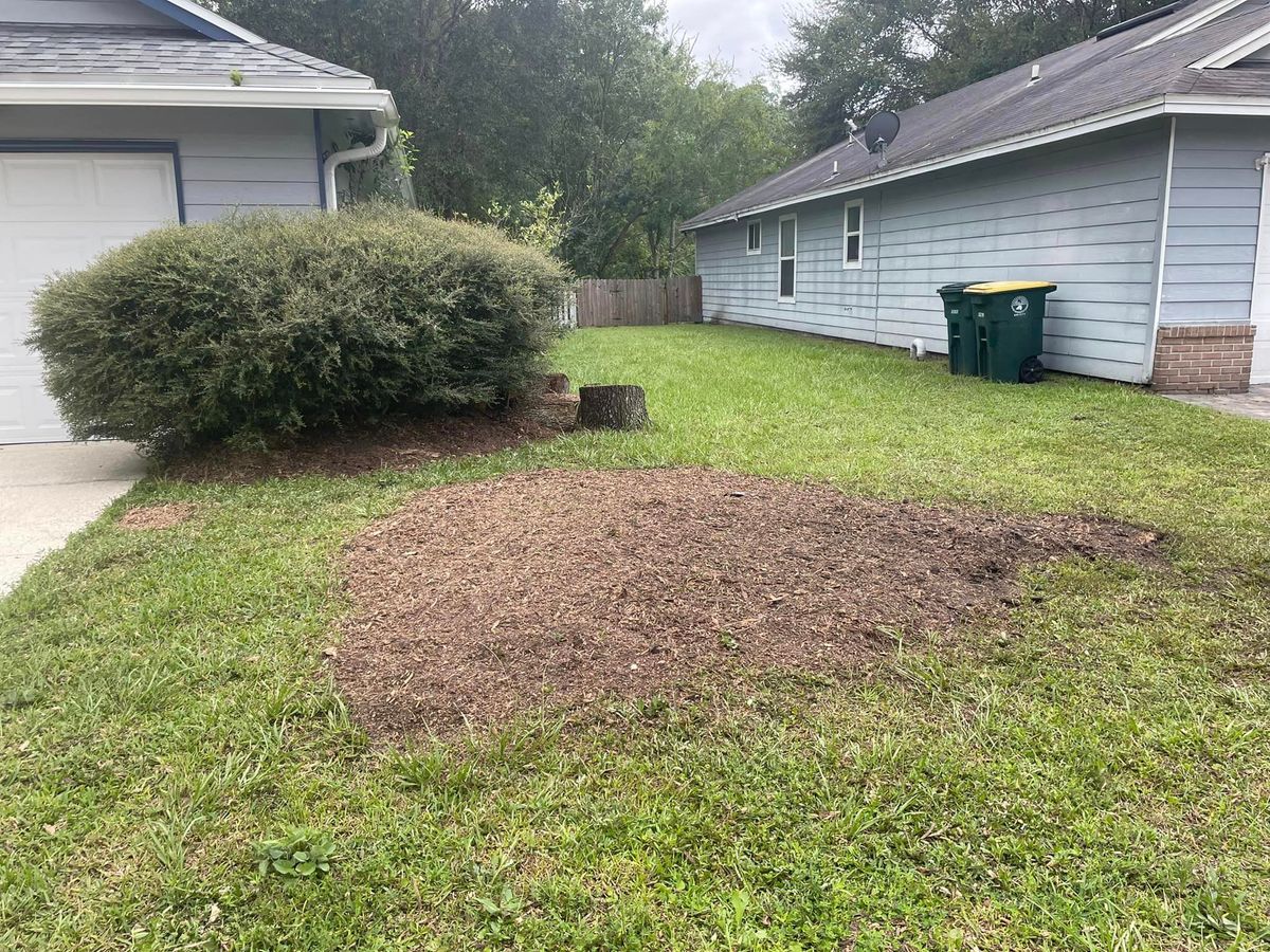 Stump Mulching for On The Grind Stump Grinding Services LLC in Jacksonville, FL