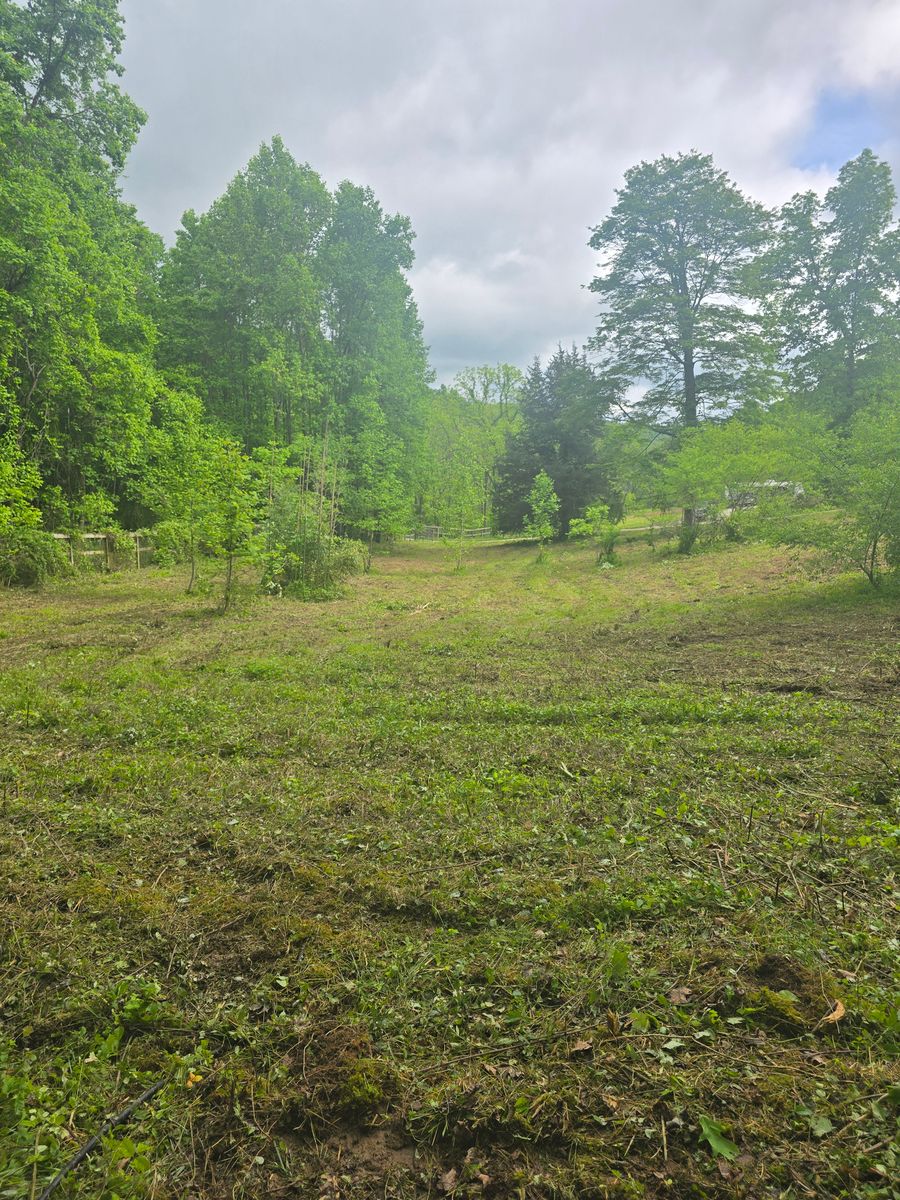 Land Clearing for Williams Lawn and Land in Sharps Chapel, TN